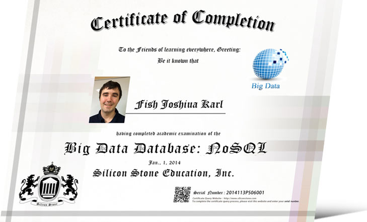 SSE大数据国际认证：Big Data Database- NoSQL国际证书